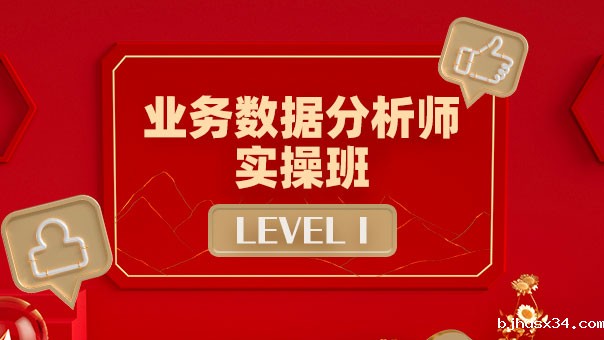 业务数据分析师 LEVEL Ⅰ 实 ...